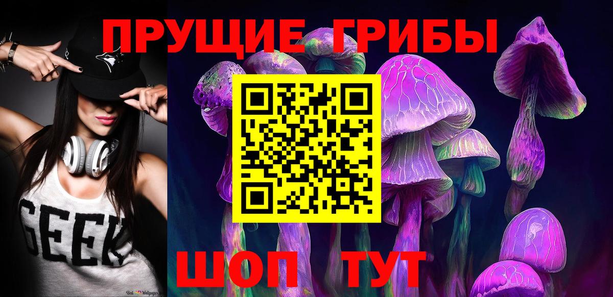 Гай  Галлюциногенные грибы Cubensis  цены   Вход с VPN 